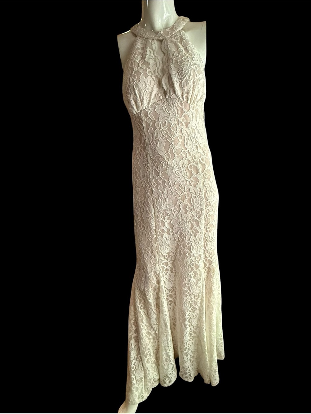 NW Sparkling Lace Dress